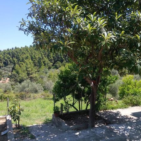 Wildherb House Agriovotano المظهر الخارجي الصورة