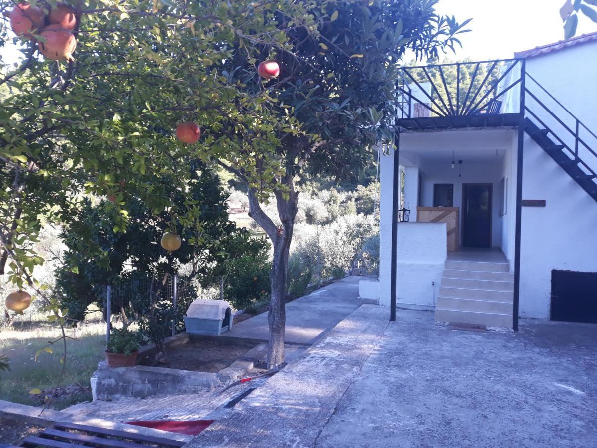 Wildherb House Agriovotano المظهر الخارجي الصورة